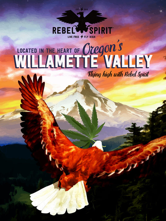 Wall Art - Eagle Poster