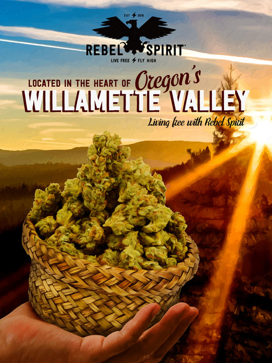 Wall Art - Weed Basket Poster